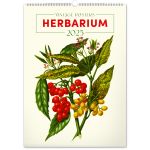 Falinaptr Vintage Posters ? Herbarium 2025, 33  46 cm (6094VH)