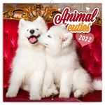 Lemeznaptár Animal Cuties 2024, 30 × 30 cm (6097AC)