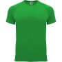 Roly Bahrain frfi sportpl, Green Fern