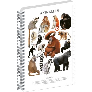 Spir�los Notesz Animalium ? Primates, quad-ruled, A4