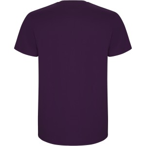Roly Stafford frfi pamutpl, Purple (T-shirt, pl, 90-100% pamut)