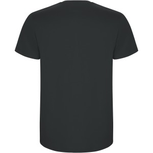 Roly Stafford gyerek pamutpl, Dark Lead (T-shirt, pl, 90-100% pamut)