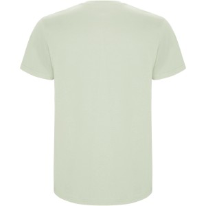 Roly Stafford gyerek pamutpl, Mist Green (T-shirt, pl, 90-100% pamut)